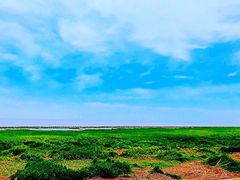 -南汇嘴观海公园