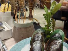 -阿杜打边炉(五江天街店)