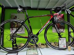 -道路口单车爱瓦士dahon大行