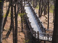 -沂蒙山旅游区龟蒙景区