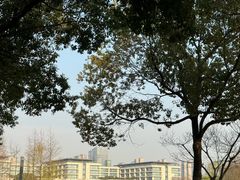 -尚贤河湿地