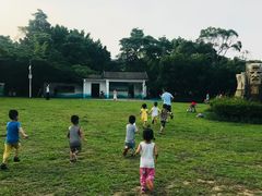 -四海公园(南山区)