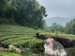 -敬亭山风景名胜区