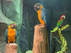 -Zoolung Zoolung动物主题公园(海信广场店)