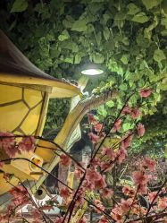 -酷嗒动物文化乐园(cutezoo西溪乐天城店)