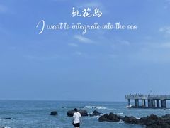 -日照海滨国家森林公园