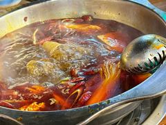 -金鼎雪山牦牛杂火锅(理县总店)