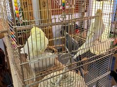 -潇湘·永州会馆(百子湾店)