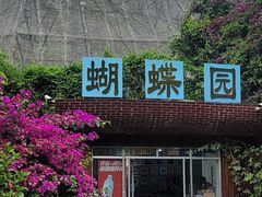 -野象谷景区