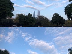 -二沙岛艺术公园