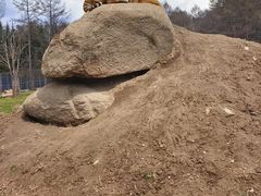 -横道河子东北虎林园