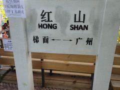 -红山村