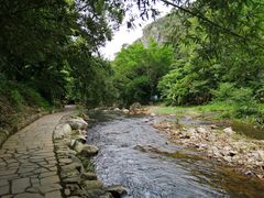 -广州市石门国家森林公园