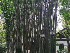 -成都杜甫草堂博物馆