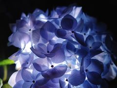 -常州古运河南大街文化旅游区-人民公园