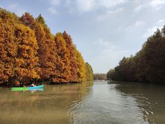 -上海海湾国家森林公园