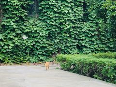 -南京大学游泳馆