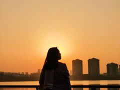 -九龙湖公园