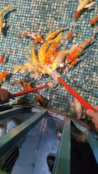 -酷嗒动物文化乐园(cutezoo西溪乐天城店)