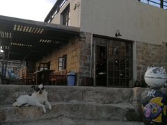 -东极岛景区