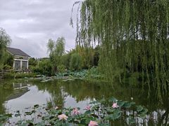 -郑州植物园