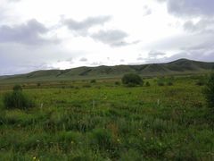 -塞罕坝国家级自然保护区