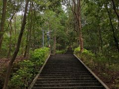 -神光山国家森林公园