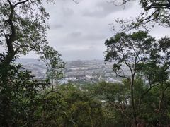 -灵岩山风景区