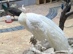 -海合安青岛极地海洋公园