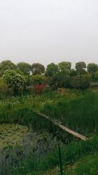 景点-水八仙生态园