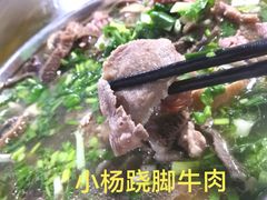 -小杨翘脚牛肉
