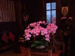 -心足私家足疗SPA(海岸城店)