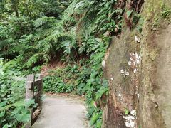 -广州市白云山风景名胜区