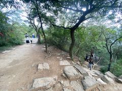 -灵岩山风景区