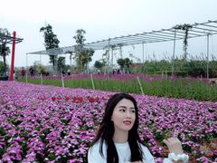 -芒洲湿地公园