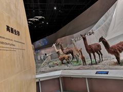 -武汉园博园(武汉自然博物馆)