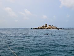 -亚龙湾海底世界