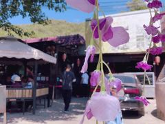 -山乡农家院(海淀区西北旺店)