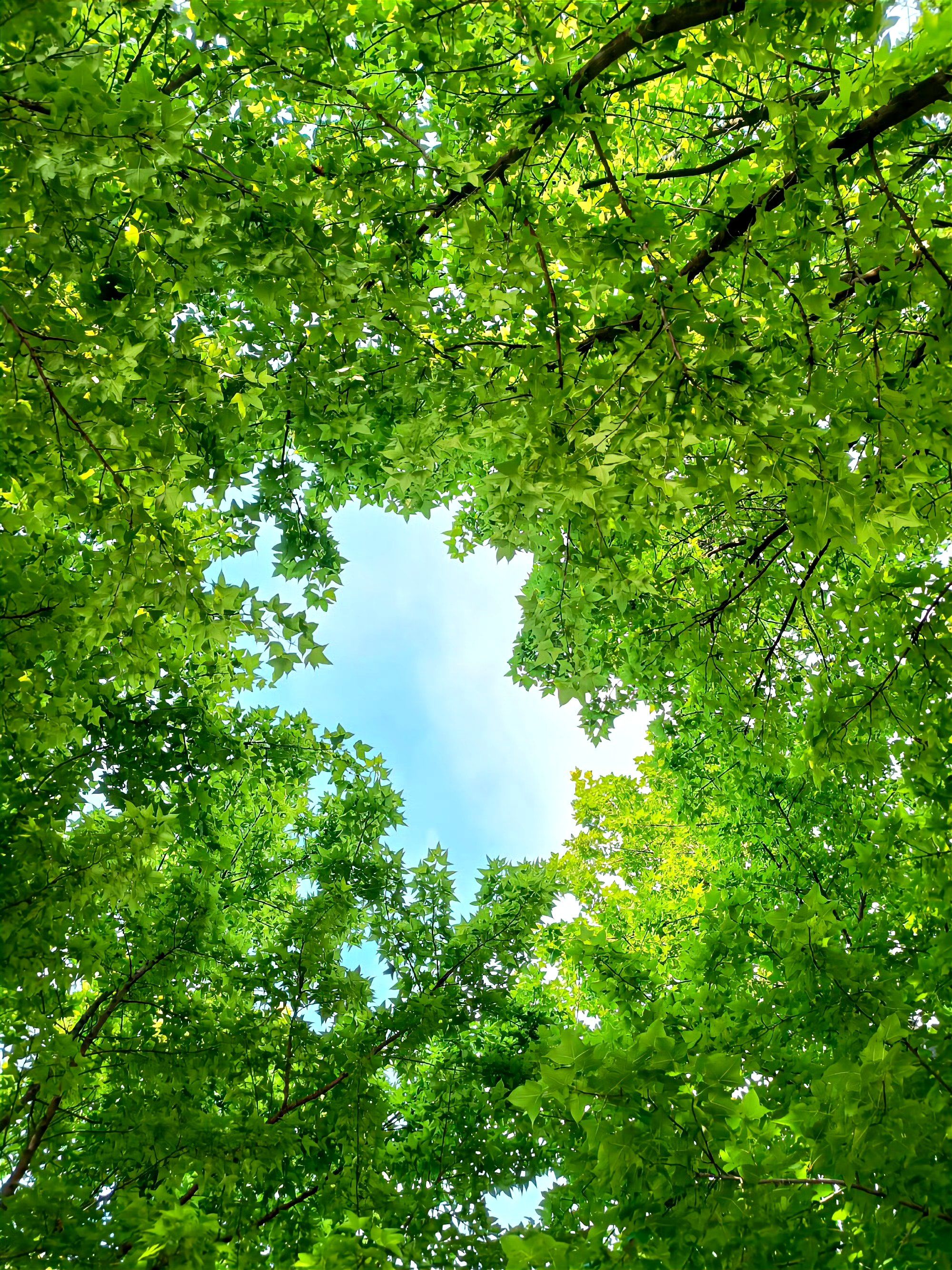 免费景点大赏 #治愈系风景旅行 #寻找世界最美的风景 #记录旅游足迹