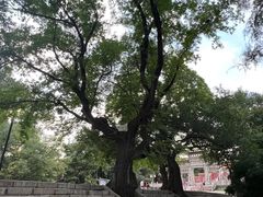 -北陵公园