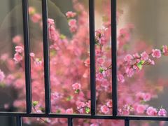 -小桃红·东北菜·春饼烤鸭(南阳湖街店)