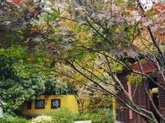 -古韵餐厅(湖畔大学店)