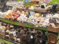 -潮品挚尚(五角场苏宁易购店)