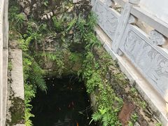 -遵义会议纪念馆