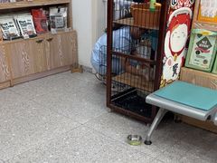 -四月宠物医院·猫专科·心脏专科·内科(转塘店)