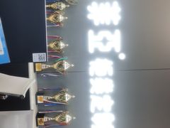 -索菲亚衣柜橱柜家具全屋定制(十里河居然之家店)