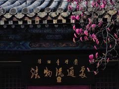-潭柘寺景区