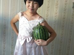 -庞各庄翠芳园西瓜蔬菜基地采摘园