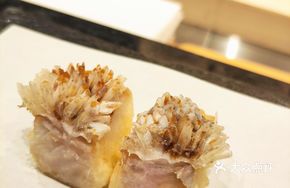 Japanese Amberjack