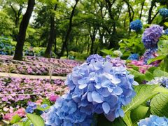 -沈阳植物园